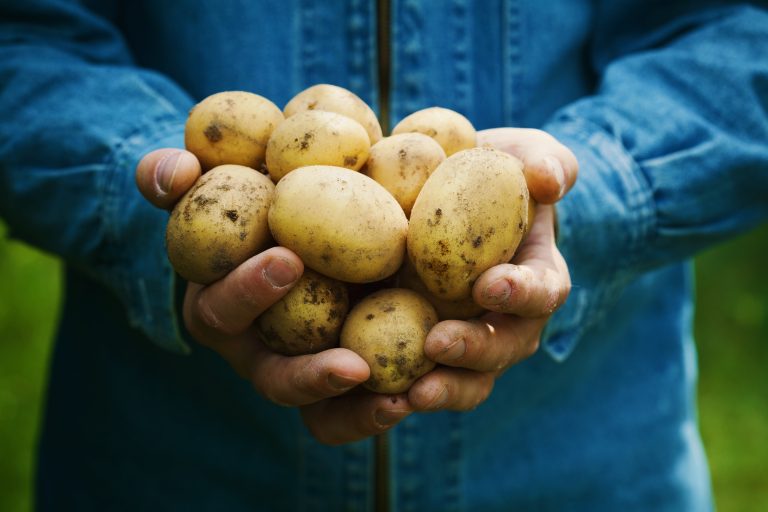 Onko kiinnostus suomalaista ruokakulttuuria kohtaan lisääntyny?